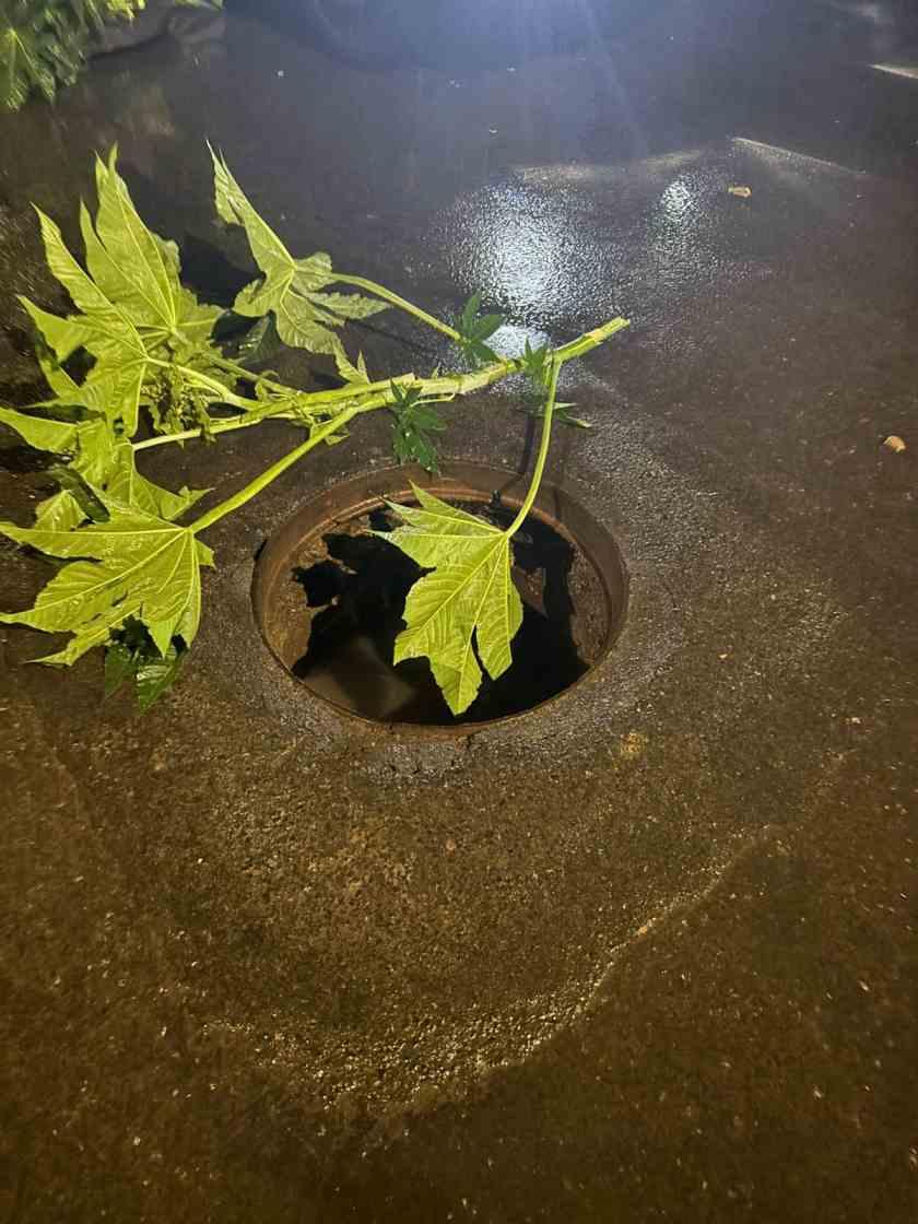 Eletricista e seu filho de apenas 2 anos s�o v�timas de acidente de tr�nsito em via com tampa de bueiro aberta 