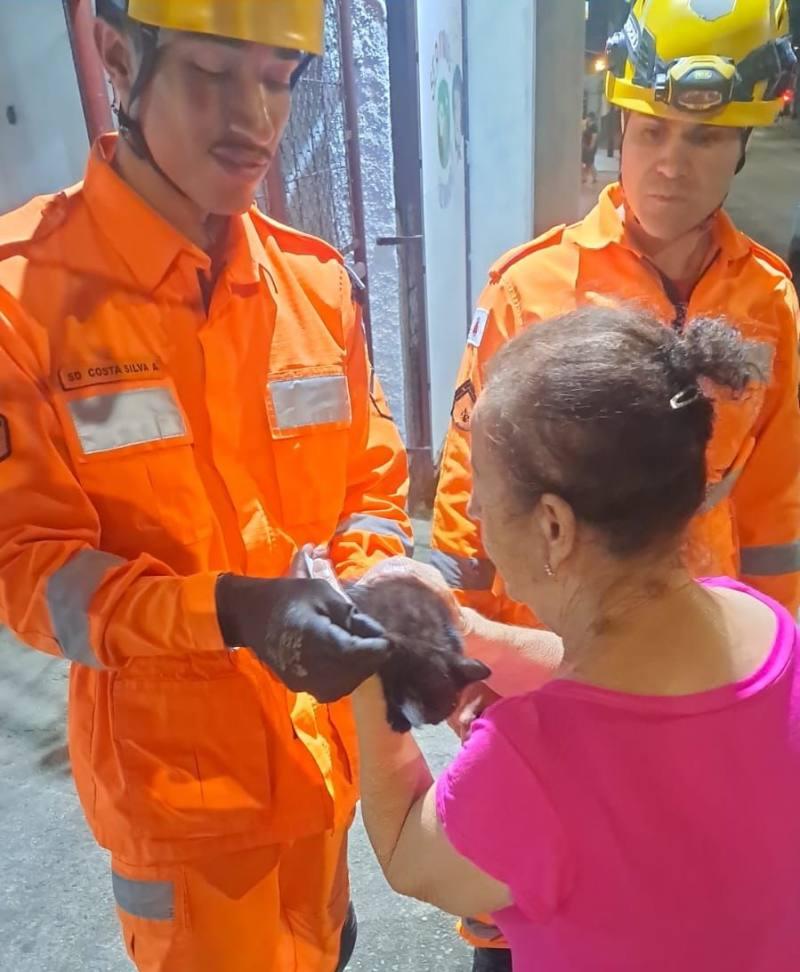 Bombeiros resgatam filhote preso entre muros durante a noite em Andradas