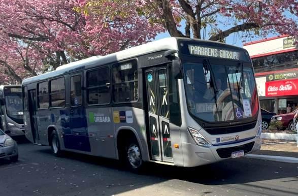 Justi�a Eleitoral divulga transporte gratuito de votantes em Guaxup� 