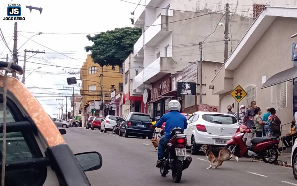 Minist�rio P�blico recomenda a captura de c�es abandonados em Guaxup�