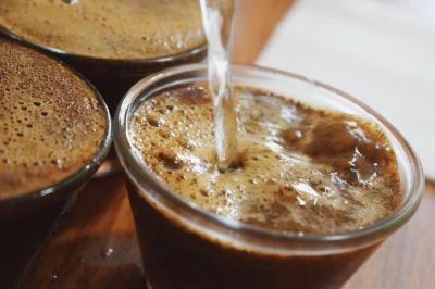 Cafeicultores cooperados disputam o ttulo de melhor caf da Cooxup
