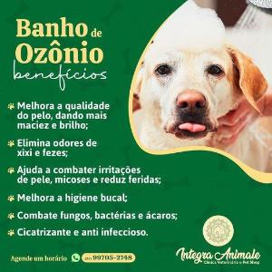 Clnica Veterinria e Pet Shop INTEGRA ANIMALE divulga a importncia do banho de oznio