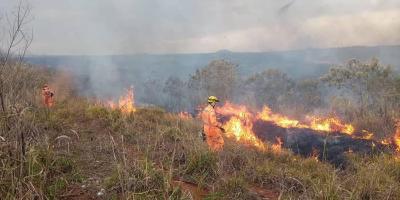 Incndio florestal destri dezoito hectares de vegetao em Guaransia