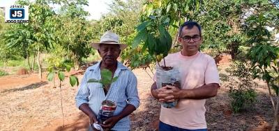 A grandeza de voluntrios que transformam matagal em bosque com frutas, remdio e rvores nativas