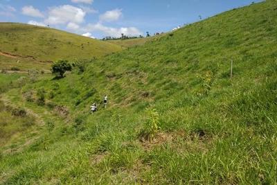 Governo e BNDES assinam protocolo para recuperao ambiental em MG