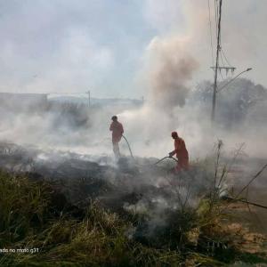 Bombeiros de Guaxup atendem doze ocorrncias de queimadas florestais num s dia