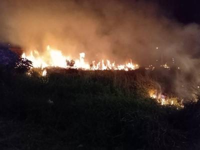 Moradores do Residencial Fazenda Planalto sofrem com as frequentes queimadas florestais