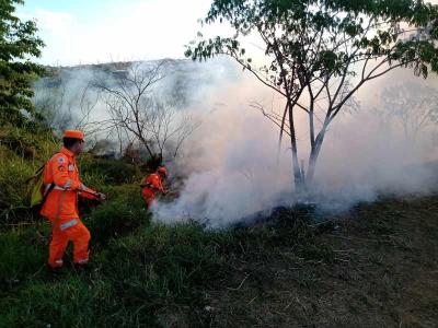 Mais uma queimada no Residencial Fazenda Planalto ameaa a fauna e flora de extensa rea verde
