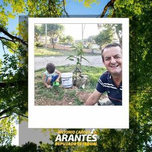 DIA DA RVORE: Deputado Arantes j plantou 201 ips na capital mineira