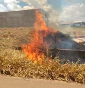 Moradores do Residencial Fazenda Planalto continuam sofrendo com queimadas florestais