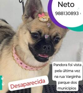 Perdida no Parque dos Municpios, 
