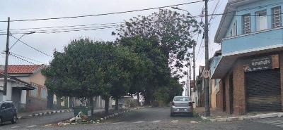 Moradores da Avenida Dona Mariana continuam  espera das podas preventivas de rvores