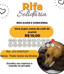 Sem condies de tratar o botulismo em co de estimao, famlia realiza aes para captar recursos