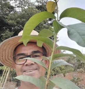 Ambientalistas naturais vo ao encontro do bem coletivo com o reflorestamento de rea verde em Guaxup