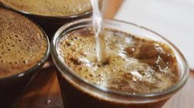 Melhor caf especial da safra da Cooxup ser apresentado em dez dias