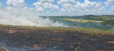 Incndio florestal exige destreza de bombeiros em ocorrncia no Jardim Renovao