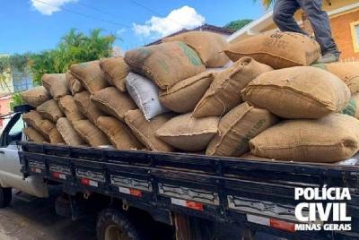 Aumento de roubo de caf em Minas motiva audincia