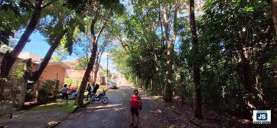 Moradores pedem poda preventiva e melhora da limpeza pblica em via do Agenor de Lima
