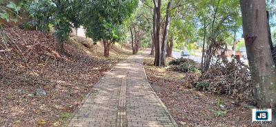 Iniciada a limpeza da pista de caminhada s margens da Avenida Felipe Elias Zeitune