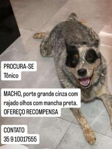 ATENO: Ajude os donos de 