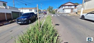 Vereador Carlo, do Jornal JOGO SRIO, pede mais conscientizao e respeito  flora da Avenida dos Inconfidentes 