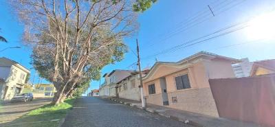 Moradores da Avenida Dona Mariana temem que rvore seca caia sobre residncia