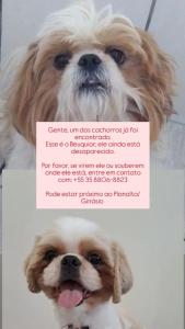 EM GUAXUP: Ajude os donos a reencontrarem seu cozinho 