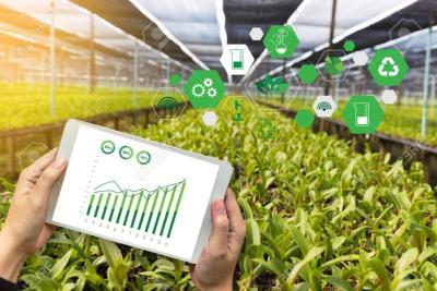 Alta nos insumos? Nutrio de preciso maximiza ganho e reduz desperdcio no agronegcio