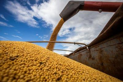 Brasil atinge novo recorde com 350 milhes de toneladas de gros