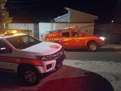 Bombeiros e Defesa Civil resgatam mais um tamandu no Sudoeste mineiro 
