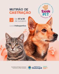 Guaxup realiza novo Mutiro de Castrao de ces e gatos