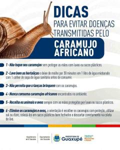 Vigil�ncia em Sa�de de Guaxup� alerta para riscos e combate ao caramujo africano