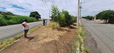 Governo de Guaxup� informa ao vereador Carl�o que a limpeza no Vale Verde ocorrer� em breve