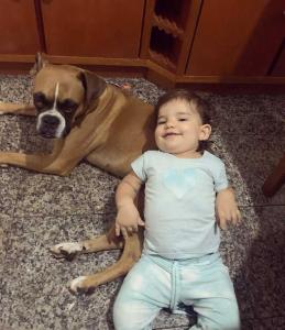 Fam�lia de Guaxup� procura pelo paradeiro de cachorra de estima��o desaparecida