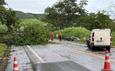 Quatro pessoas ficam feridas ap�s queda de �rvore provocar acidente na MG-050