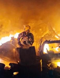 Corpo de Bombeiros resgata cadela durante inc�ndio em dep�sito �s margens de rodovia