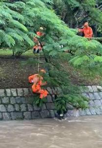 Homem � resgatado ap�s ficar preso em �rvore no Rio Pardo durante forte correnteza