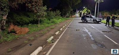 Cavalos soltos na via provocam violento sinistro de tr�nsito em Guaxup� 