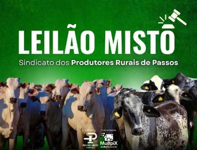 Sindicato dos Produtores Rurais de Passos promove Leil�o Misto no dia 2 de junho