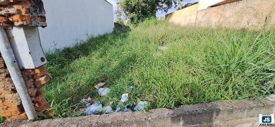 Terreno baldio com matagal e detritos prejudica moradores e comerciantes da Rua Salesianos 
