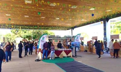 Rodada de Neg�cios em Guaxup� projeta R$ 1,4 milh�o em oportunidades para a cafeicultura
