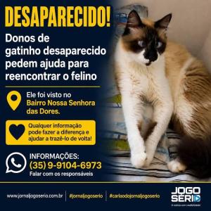 Donos de gatinho desaparecido pedem ajuda para reencontrar o felino 