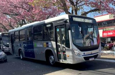 Justi�a Eleitoral divulga transporte gratuito de votantes em Guaxup� 